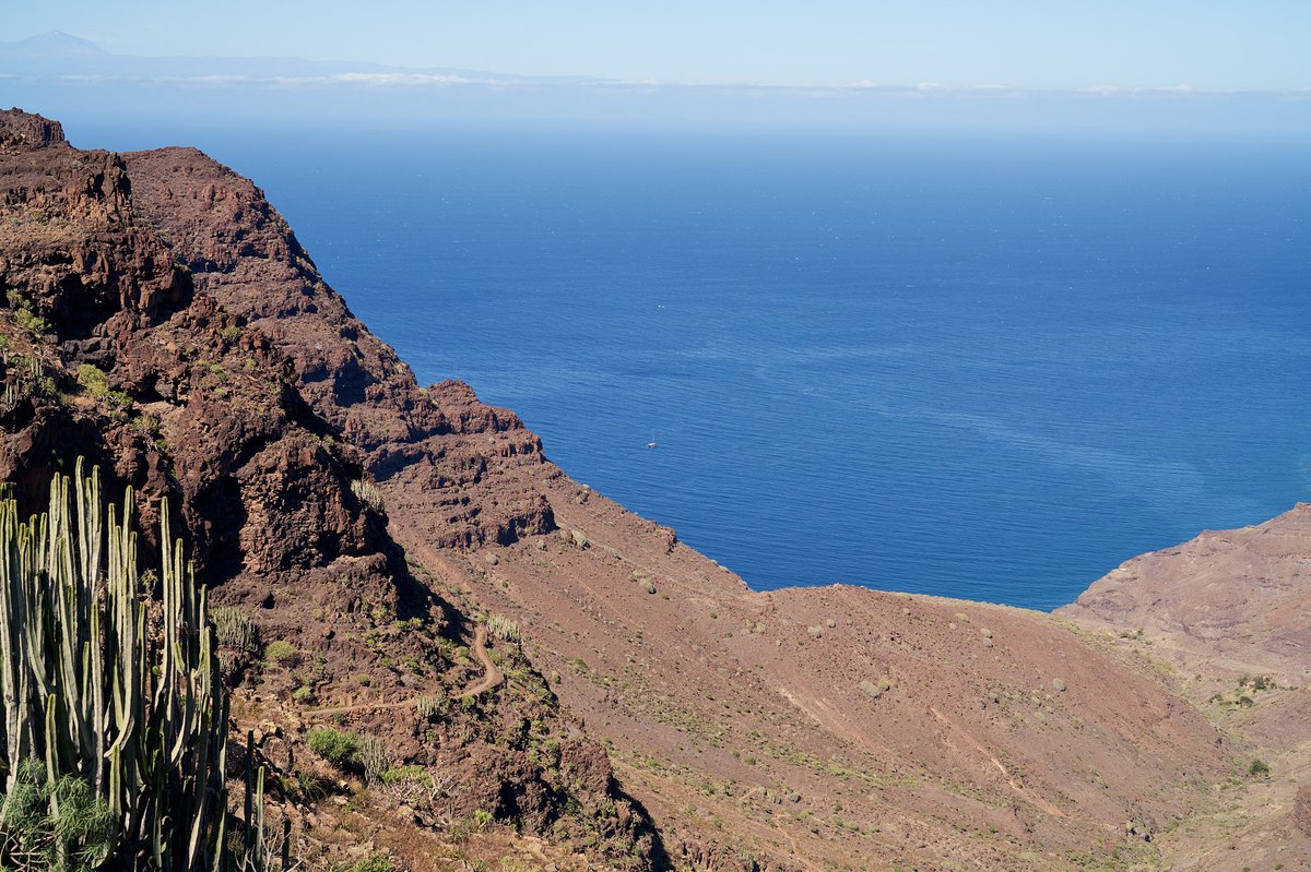 Wide coastal view: rugged cliffs and deep blue Atlantic with cactus in the foreground.